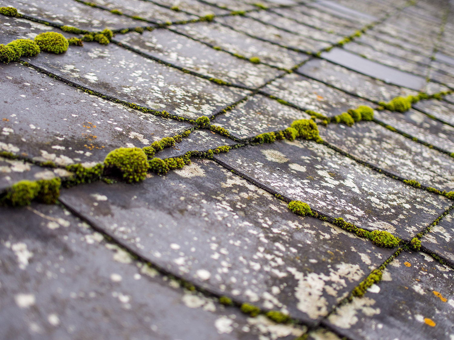 roof inspections in San Antonio | Tomlin Roofing Company Privacy Policy